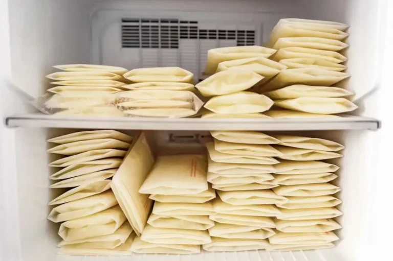 Lire la suite à propos de l’article Allaitement maternel: Optimise la conservation du lait maternel pour ton bébé