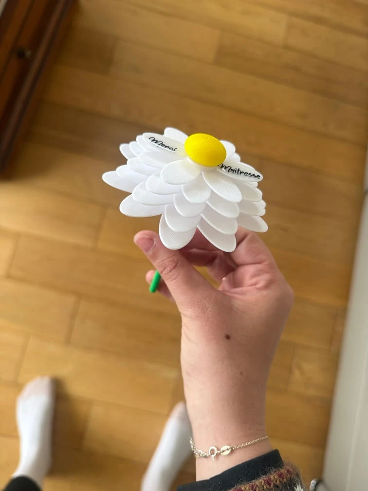 Cadeau maîtresse fin d'année fleur a message