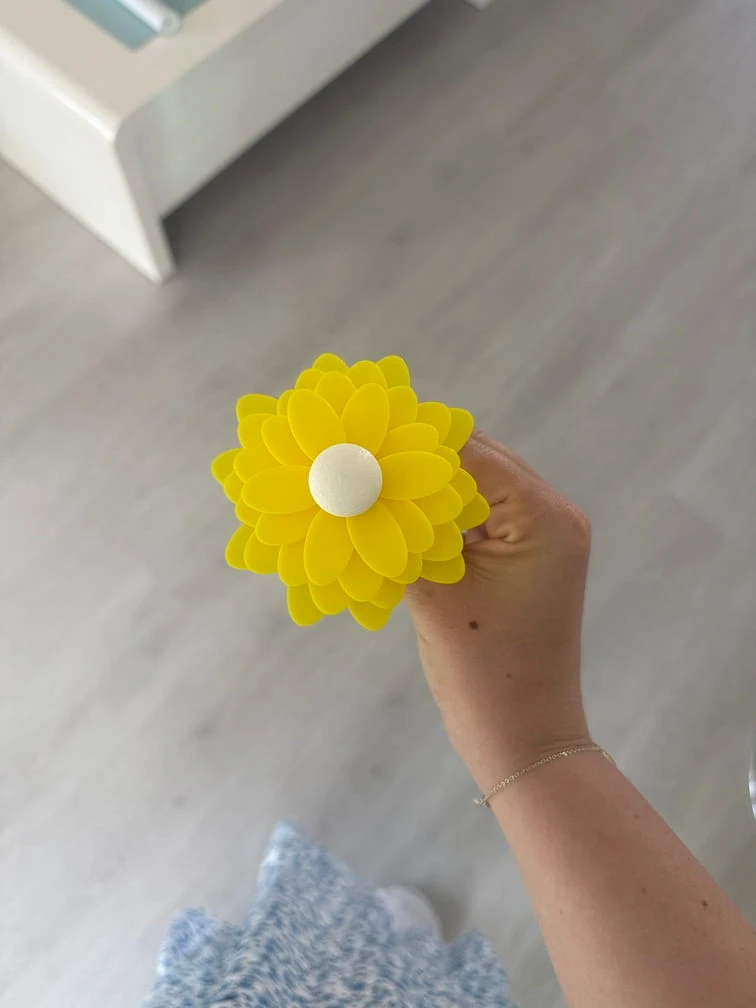 Cadeau maîtresse fin d'année fleur a message