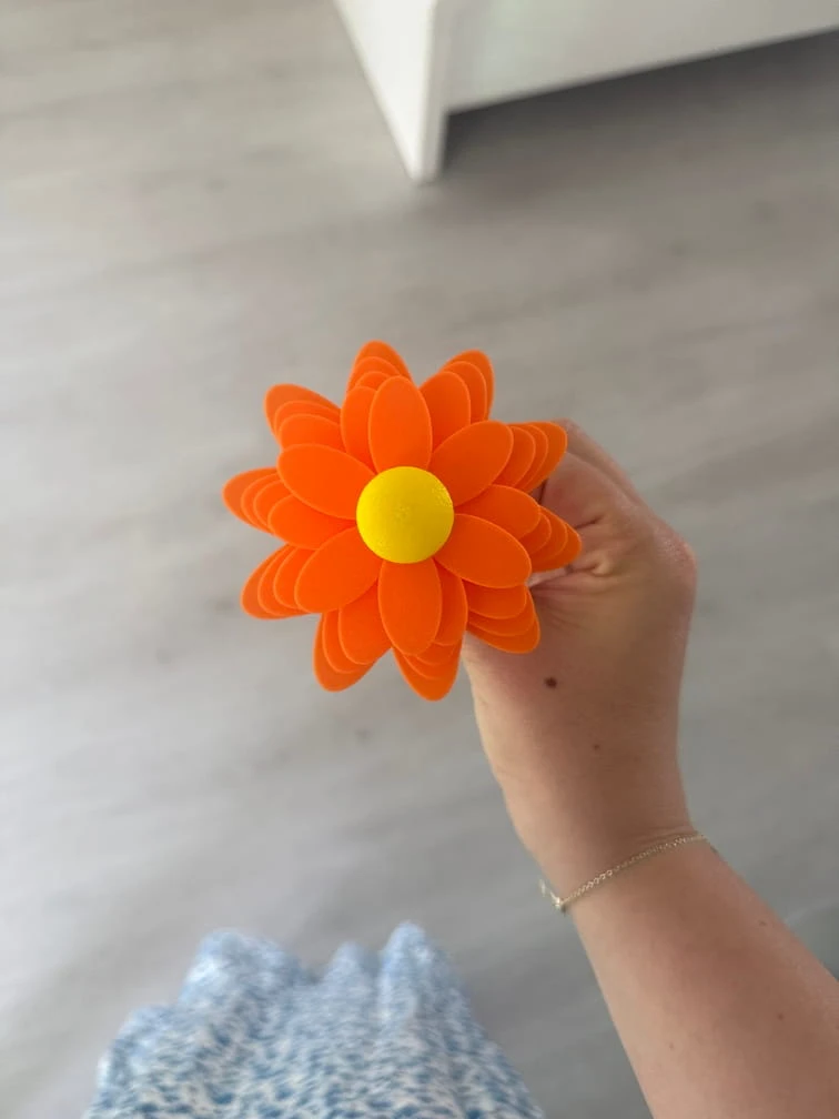 Cadeau maîtresse fin d'année fleur a message