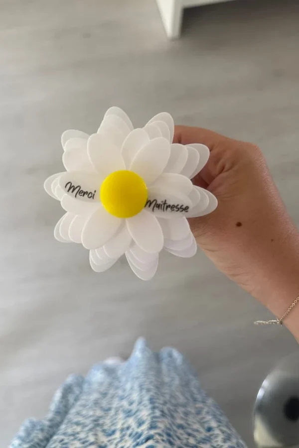 Cadeau maîtresse fin d’année : fleur unique