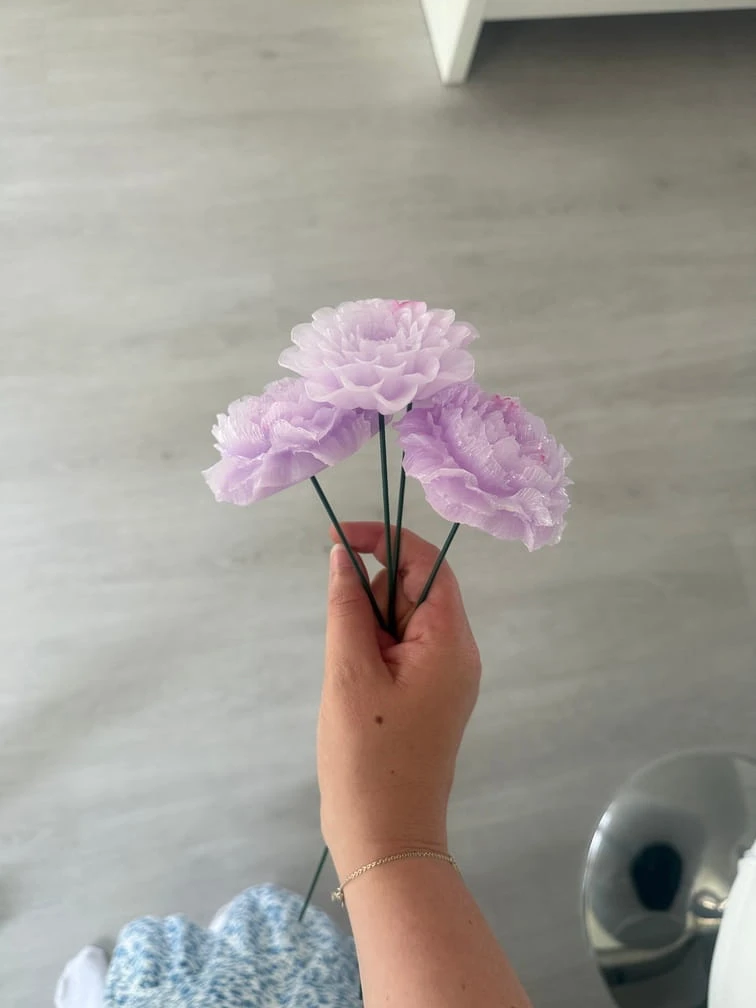 Cadeau je t'aime Cadeau pour les maîtresses: fleur à planter