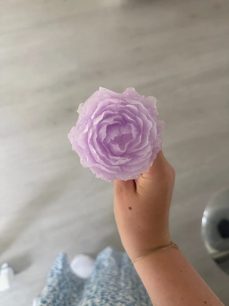 Cadeau je t'aime Cadeau pour les maîtresses: fleur à planter