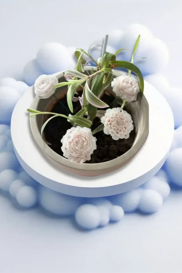 Cadeau « je t’aime »: Fleurs éternelles a planter