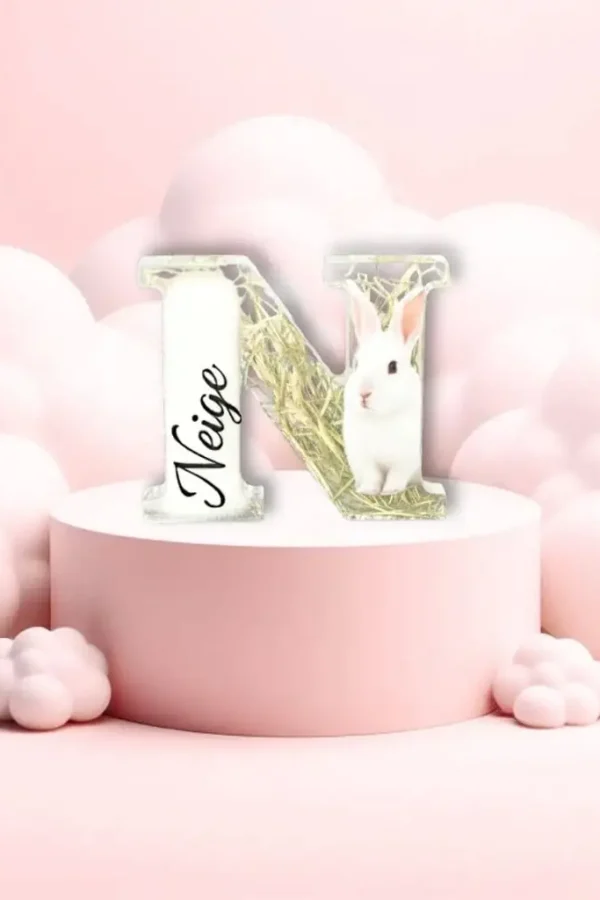 Souvenirs animal décédé: lettre résine personnalisé