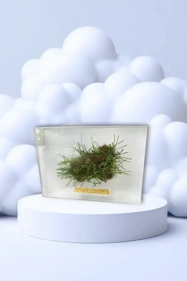 Résine sur mesure : souvenir immortalisé a jamais