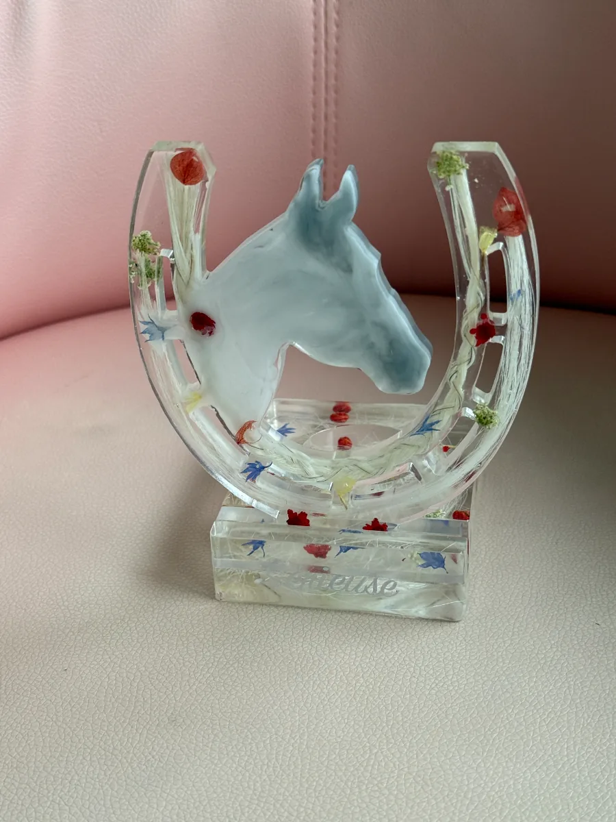 Fer à cheval en résine transparente avec tête de cheval, sur un fauteuil rose
