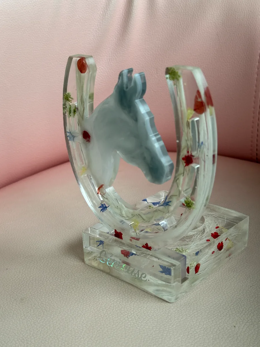 Souvenir de cheval en résine : fer à cheval, crins et fleurs séchées