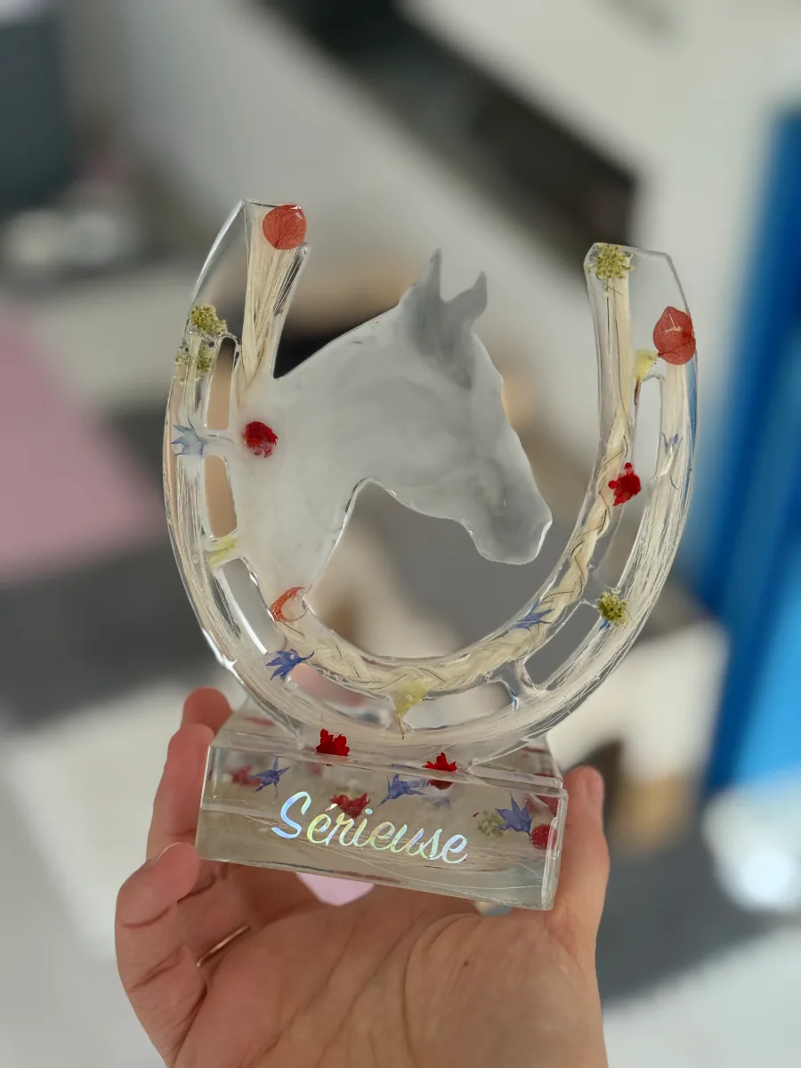 Fer à cheval souvenir aux crins de cheval, prénom gravé, tenu en main