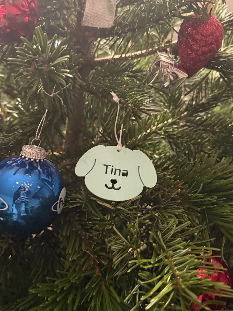 Suspension de Noël chien au prénom Tina et boule bleue dans le sapin